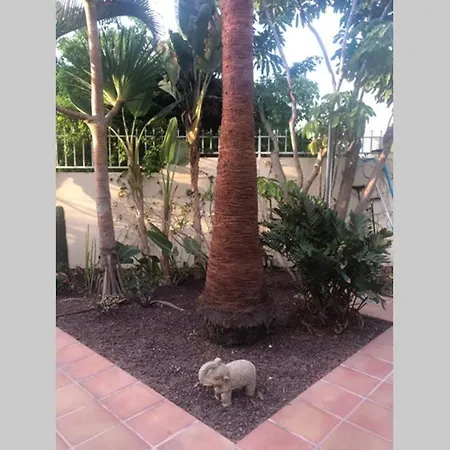 Luis * Playa de las Américas
